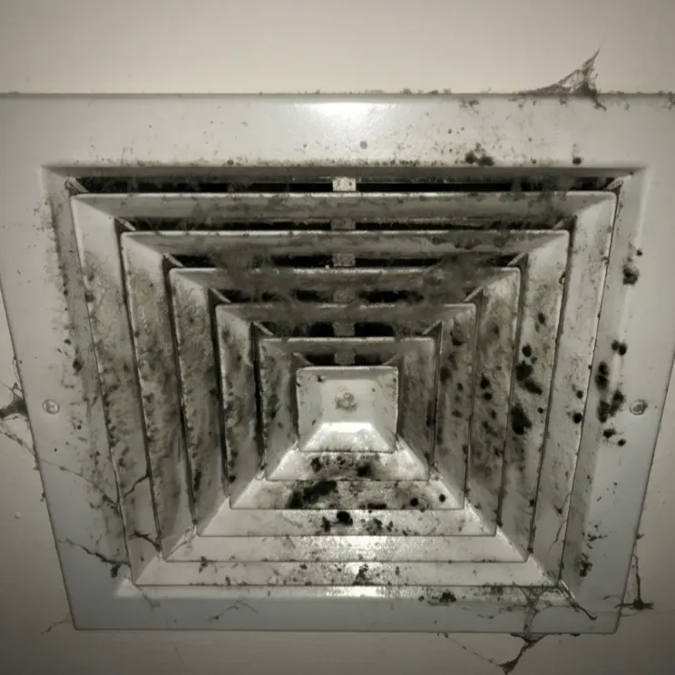 Dirty Vent Cover Before